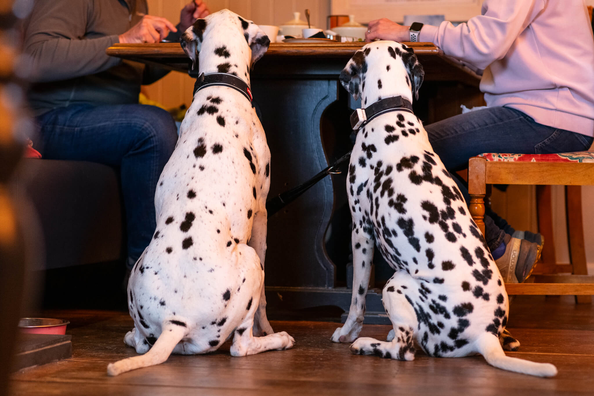 The Talbot Hotel Oundle A Pet Friendly Hotel